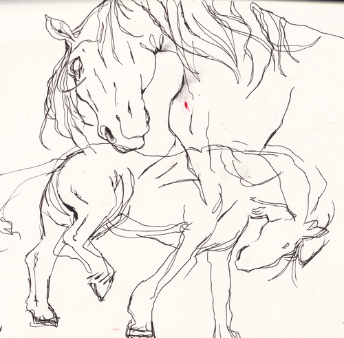 horsessketch.png